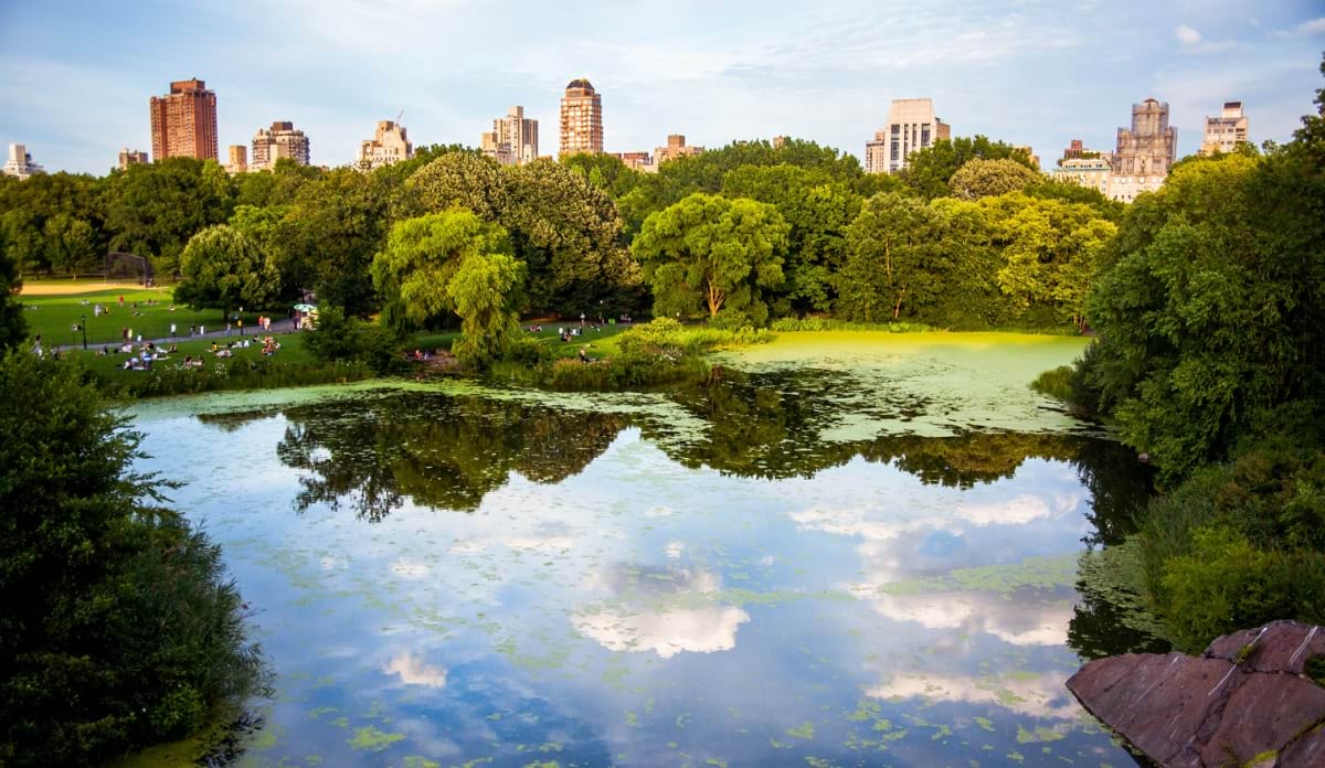 Central Park